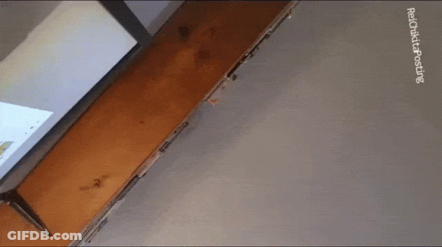 Projector Screen Realtime Broadcasting GIF