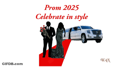 Prom 2025 Celebrate With Man And Woman GIF