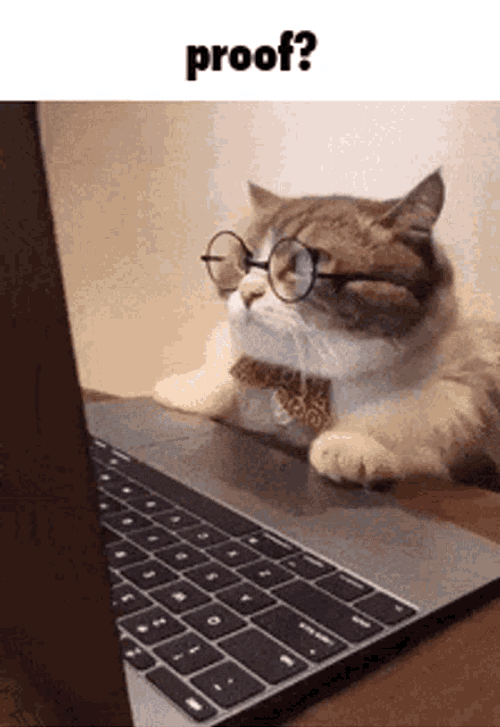 Proof Cat GIF