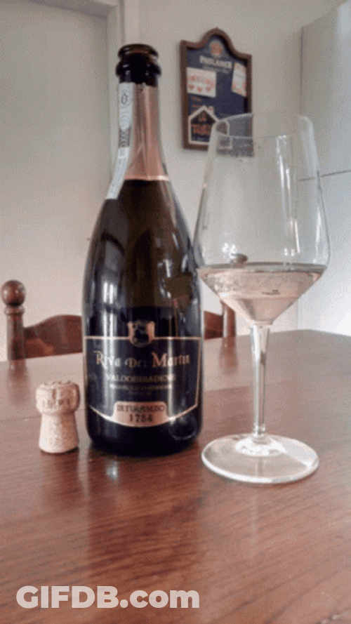 Prosecco Coz Life's Too Short For Boring Drinks GIF