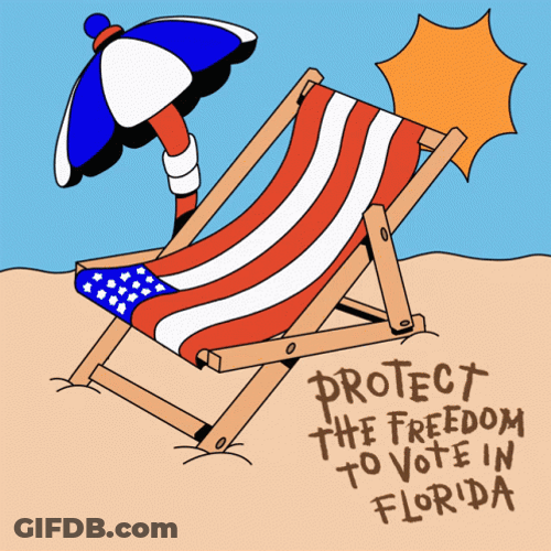 Protect The Freedom To Vote In Florida GIF