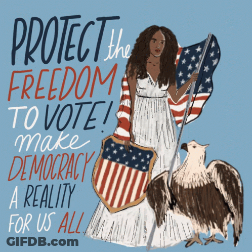 Protect The Freedom To Vote Poster GIF