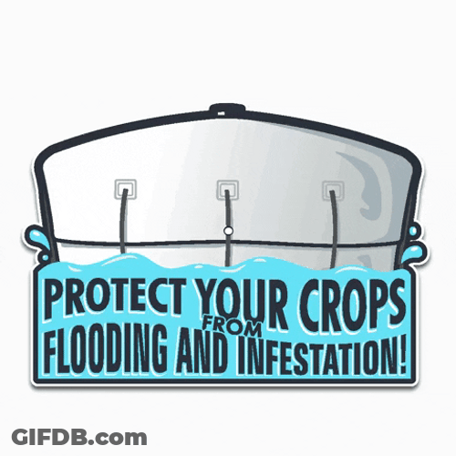 Protect Your Crops GIF