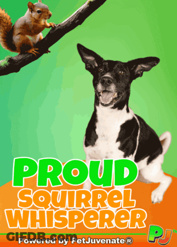 Proud Squirrel Whisperer Dog And Squirrel GIF