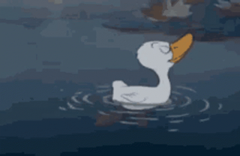 Proud Swimming Duck GIF