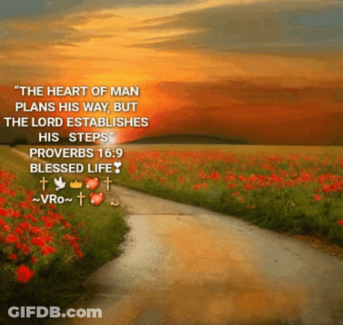 Proverbs 16 9 Heart Plans Lord Establishes Steps GIF