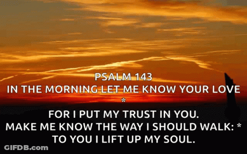 Psalm 143 In The Morning Let Me Know Your Love Make Me Know The Way I Should Walk To You I Lift Up My Soul GIF