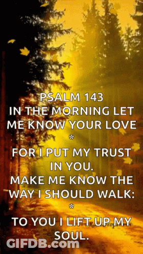 Psalm 143 Morning Love GIF