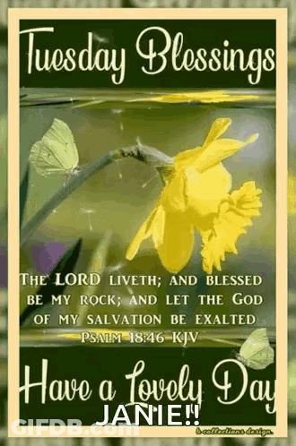 Psalm 18:46 Lord Liveth And Blessed Be My Rock GIF
