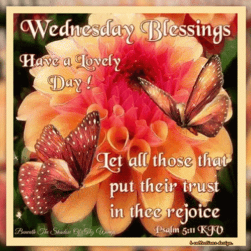 Psalms 5:11 Bible Verse Good Morning Blessings GIF