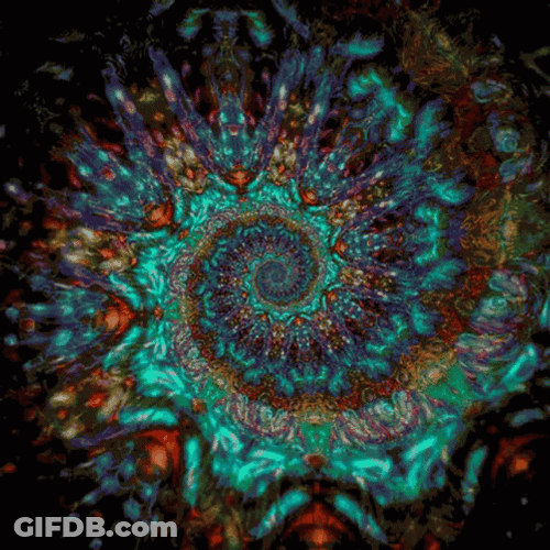 Psychedelic Spiral Fractal GIF
