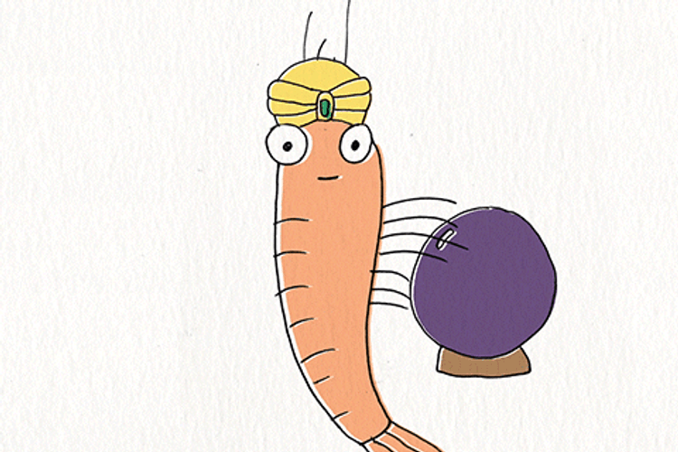 Psychic Shrimp With Crystal Ball GIF
