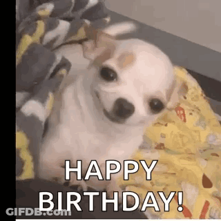 Psycho Chiwawa Poster GIF