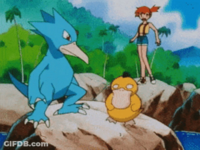 Psyduck And Golduck Interaction With Misty GIF