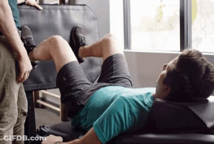 Pt Elevated Double Leg Back Exercise GIF