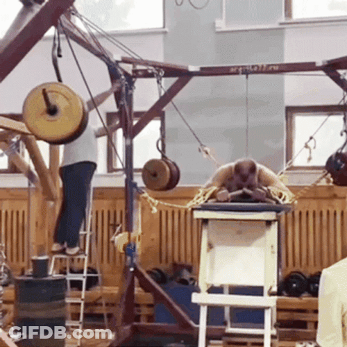 Pt Hilarious Exaggerated Stretching Exercise GIF