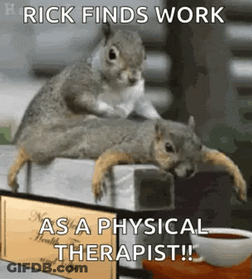 Pt Physical Therapist Little Squirrel GIF