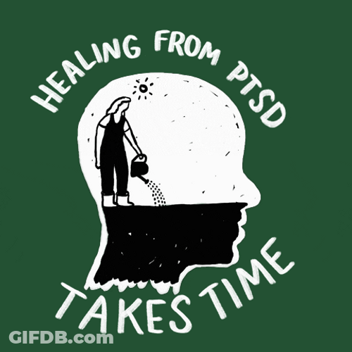 Ptsd Healing Takes Time Meme GIF