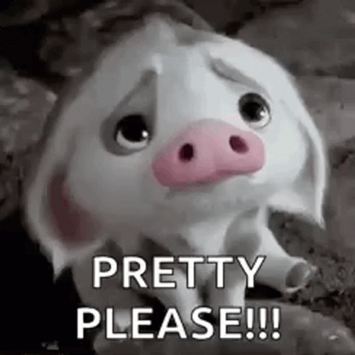 Pua Pig Saying Pretty Please GIF