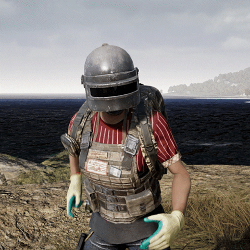 PUBG Game Delete This Threat GIF