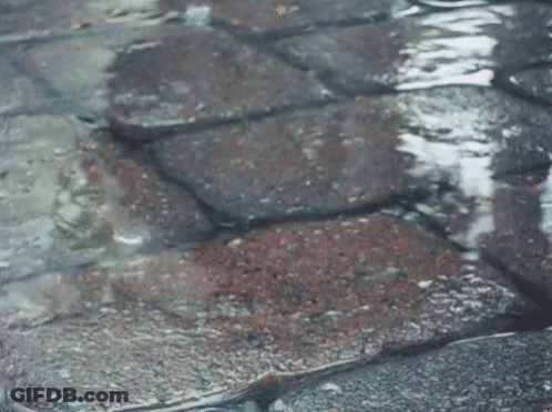 Puddle Of Water On Brick Floor GIF