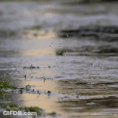 Puddle Of Water With Wonderworldmotion.tumblr.com GIF