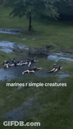 Puddle Saying Marines R Simple Creatures GIF