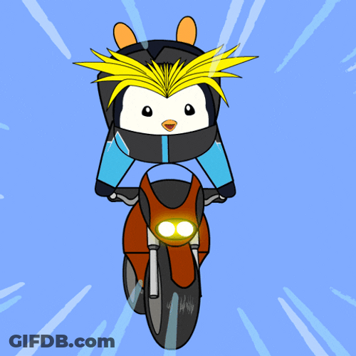 Pudgy Penguin On Speeding Motorcycle GIF