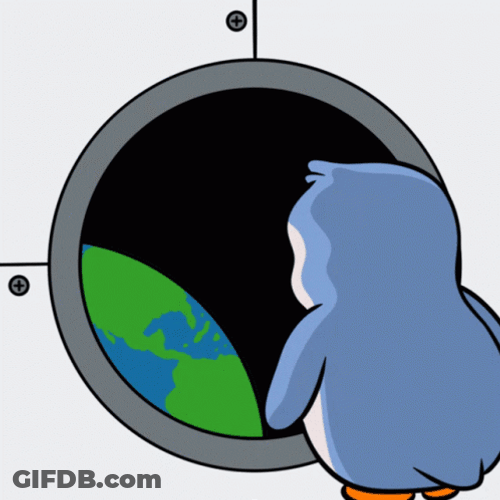 Pudgy Penguin Rocket Falling To Earth GIF