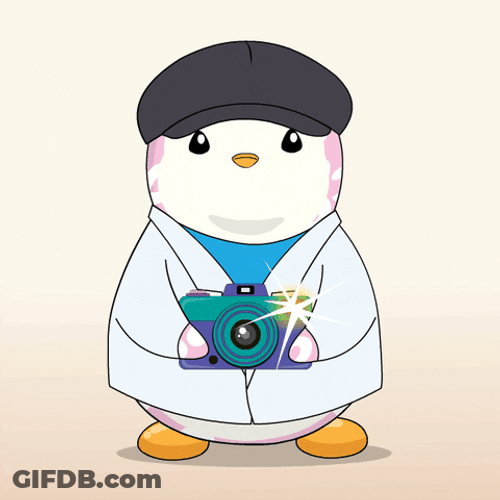 Pudgy Penguin Snapping Pictures GIF