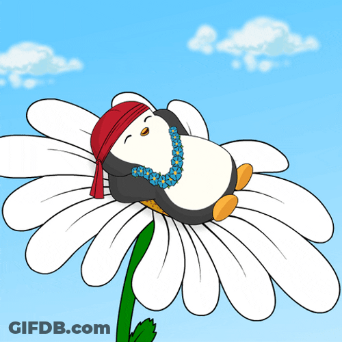 Pudgy Penguins Flower Im Chill GIF