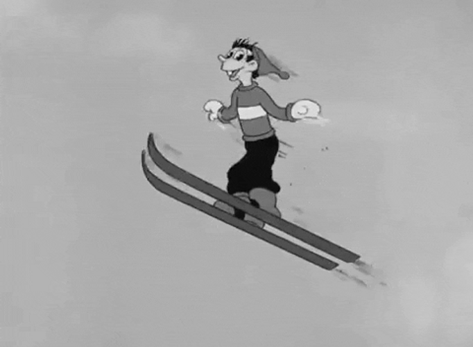 Pudgy's Ski Fell In The Middle Of Air GIF