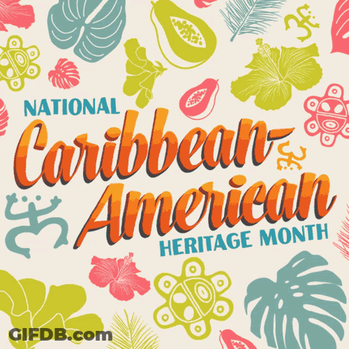 Puerto Rican Caribbeanheritage GIF