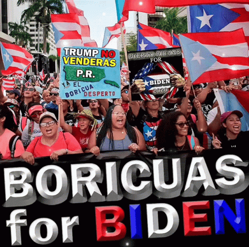 Puerto Rico Support For Biden GIF