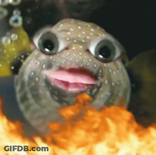Puffer Fish With Pink Tongue Sticking Out Surrounded By Flames GIF