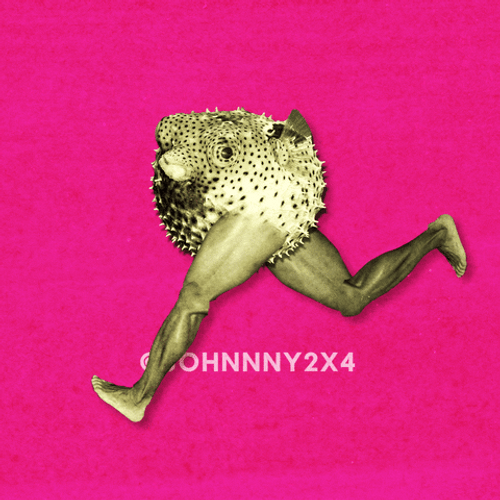 Pufferfish Legs Run GIF