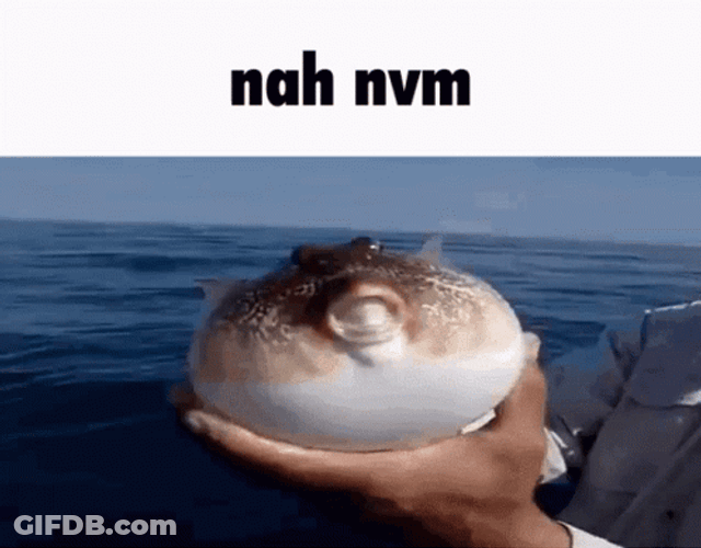 Pufferfish Ocean Release Nah GIF