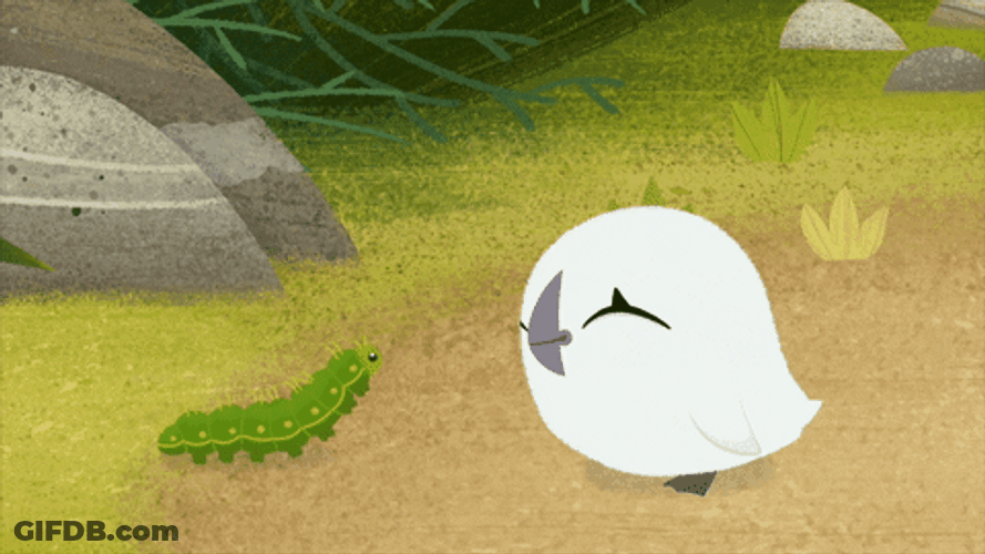 Puffin Rock And Caterpillar GIF