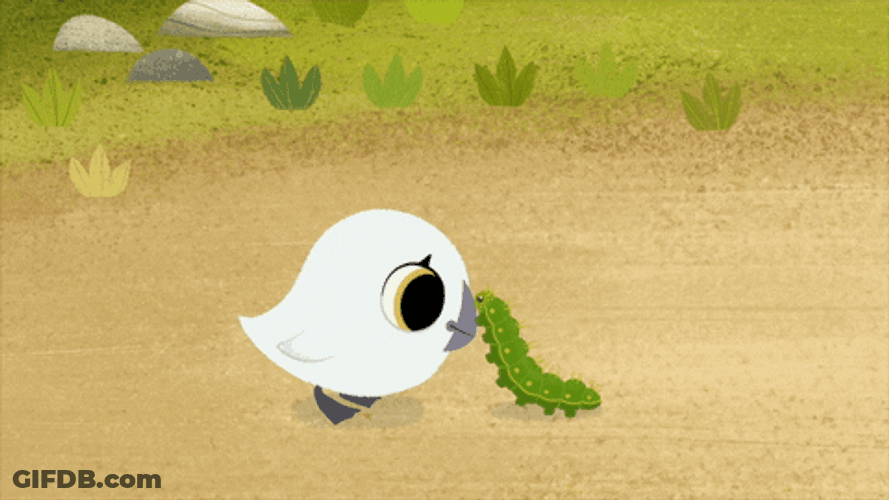 Puffin Rock And Caterpillar Hugging GIF