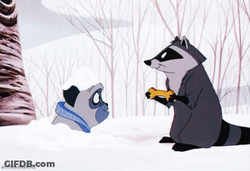 Pug And Raccoon Standing In Snow With Animated Features GIF