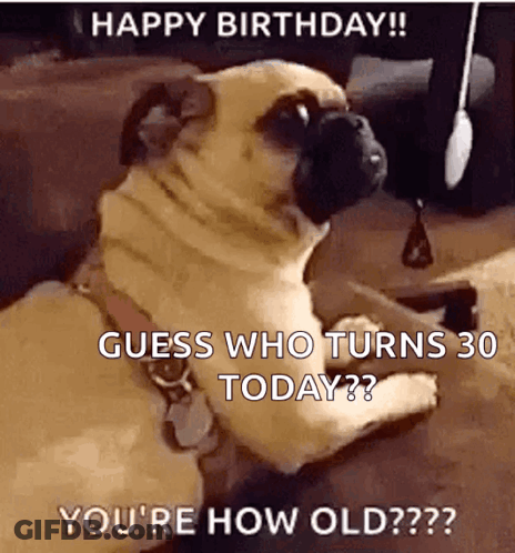 Pug Dog Happy Birthday Guess Who Turns 30 GIF