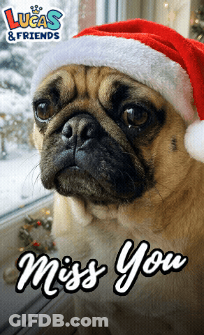 Pug Dog Santa Hat Lucas & Friends GIF