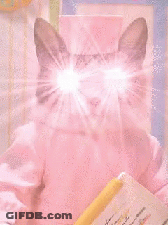 Pug Dog Sitting Next To Halloween Pumpkin GIF