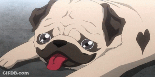 Pug Dog With Heart On Chest Laying Down GIF