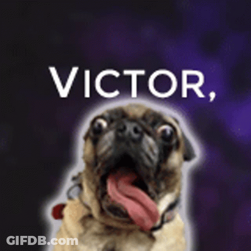 Pug Dog With Tongue Out Victor GIF