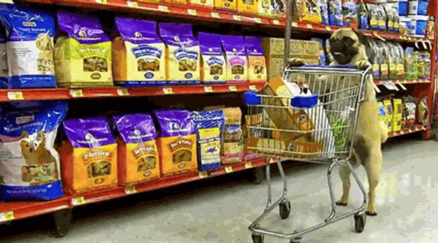 Pug Doing Groceries GIF
