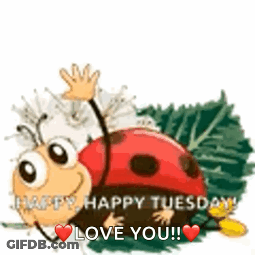 Pug Eating Taco Says I Love You Happy Tuesday GIF