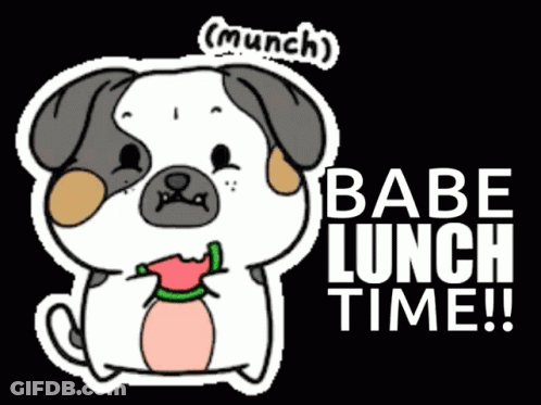 Pug Eating Watermelon Saying Babe Lunch Time GIF