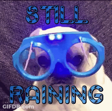 Pug In Blue Glasses Still Raining GIF