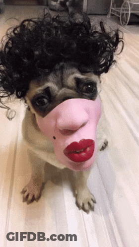 Pug In Pink Mask With Red Lips And Curly Hair GIF